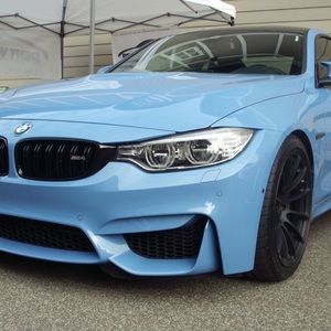 Meet your Posher, Maddy